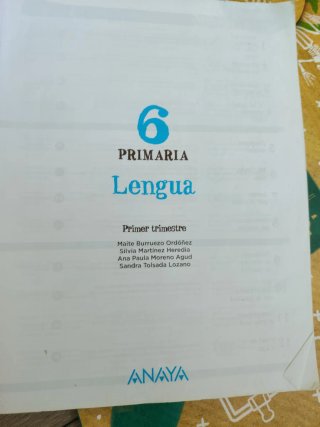 Libros de sexto de primaria