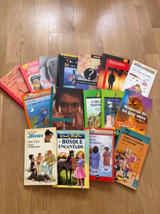 Lote libros