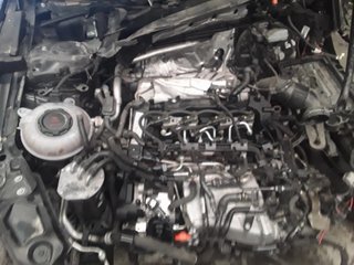 Despiece SEAT LEON (5F1)