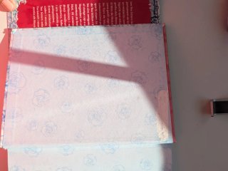 El secret de les fades de la neu