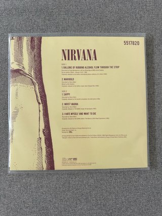 Vinilo Nirvana 10 Edición Coleccionista