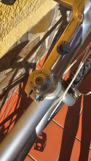 Bicicleta Specialized Talla XL (21) MTB