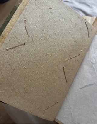 Conjunto 2 Álbumes Hojas Naturales