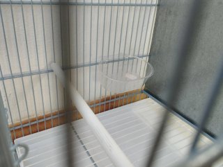 Jaula para pájaros