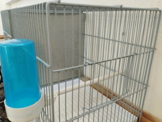 Jaula para pájaros
