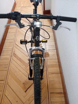 Vendo bicicleta infantil 20 pulgadas.
