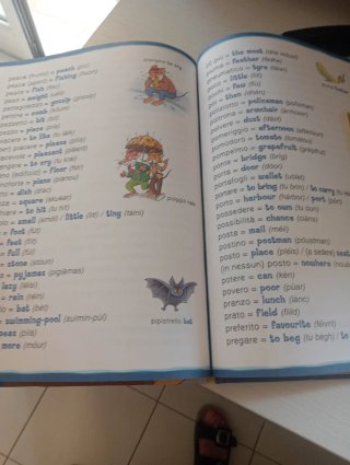 Libro di Geronimo Stilton per bambini