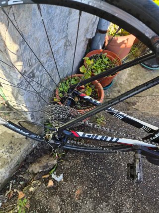 Bicicleta Giant de carbono montada en Shimano 105