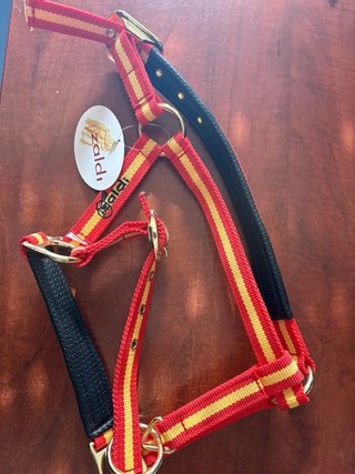 Cabezada poni Zaldi a estrenar