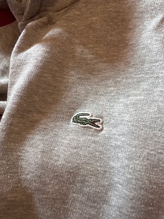 Sudadera gris Lacoste con  capucha y estampado