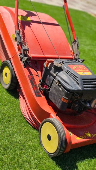 Cortacésped WOLF Gasolina Briggs & Stratton
