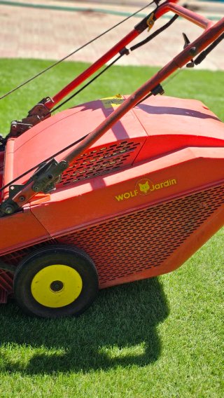 Cortacésped WOLF Gasolina Briggs & Stratton
