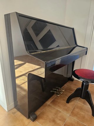 Piano Vertical Young Chang Negro