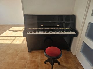 Piano Vertical Young Chang Negro