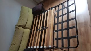 Sofá cama 2 plazas en buen estado