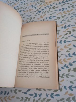 Raúl El Futuro
