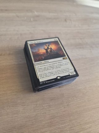 Mazo Magic MTG tematica Perro