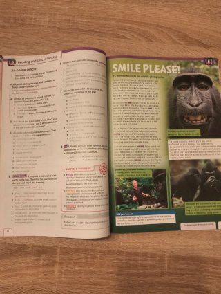 INFLUENCE 3 Sb Pk