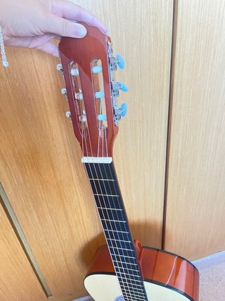 Guitarra Clásica Rocío R-10 Casi nueva