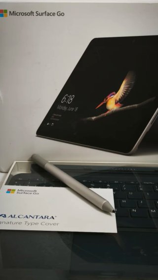 Microsoft Surface Go Plata portátil