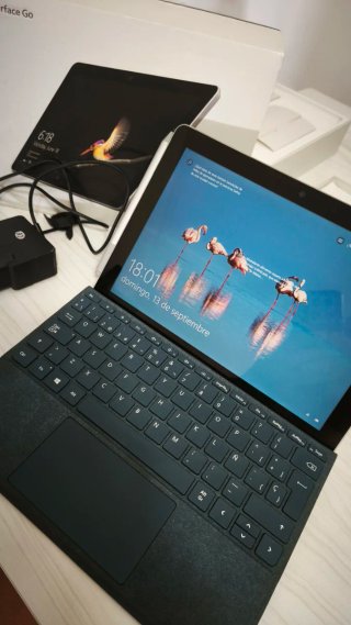 Microsoft Surface Go Plata portátil