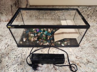 Kit terrario tortuga cristal