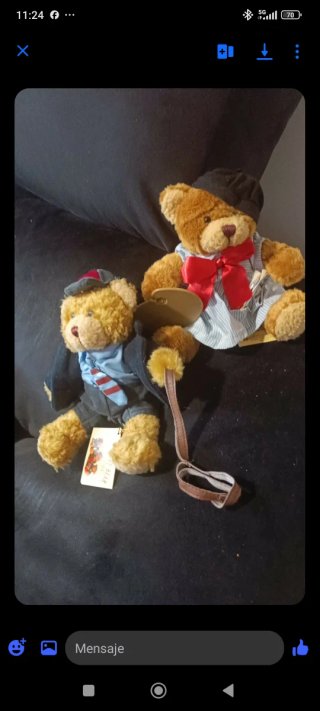 Osos de peluche con ropa