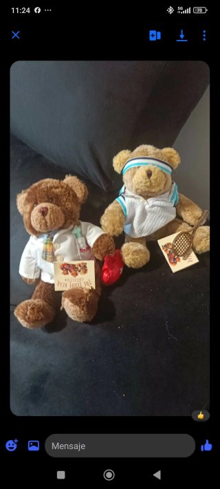 Osos de peluche con ropa