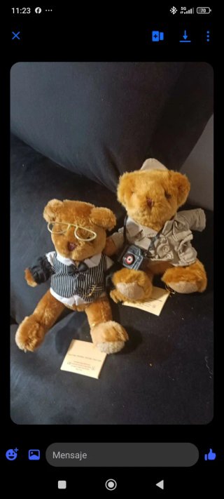 Osos de peluche con ropa