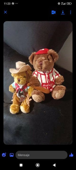 Osos de peluche con ropa