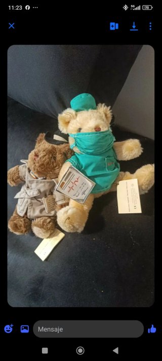 Osos de peluche con ropa