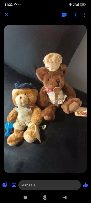 Osos de peluche con ropa