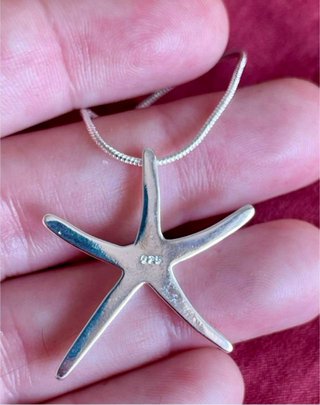 Colgante Estrella de mar Plata 925
