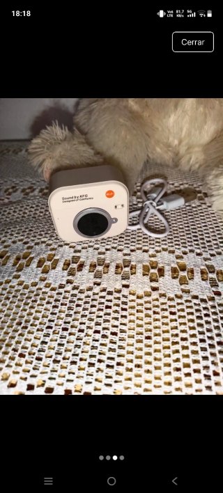Auriculares inalámbricos CJ