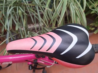Bicicleta Infantil B-Pro 20