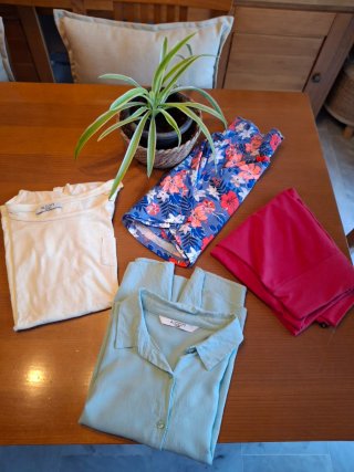 Lote Ropa Talla M