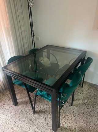 Mesa comedor y 6 sillas