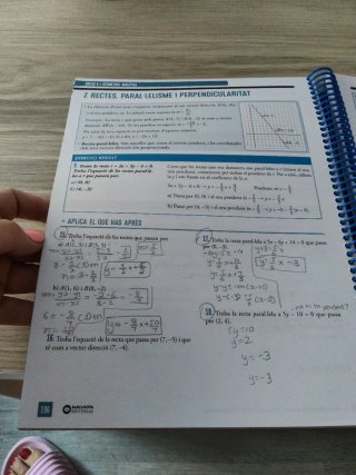 Matemàtiques, 4 ESO, Programa Sophie Germain, B...