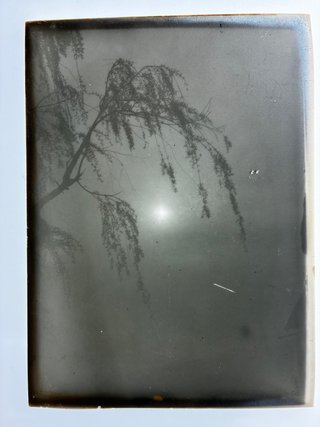 Opalotipo(fotografía)japonés, periodo Meiji II