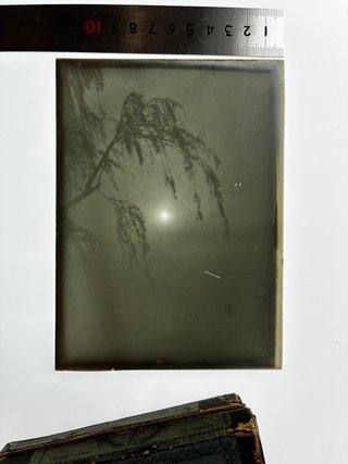 Opalotipo(fotografía)japonés, periodo Meiji II