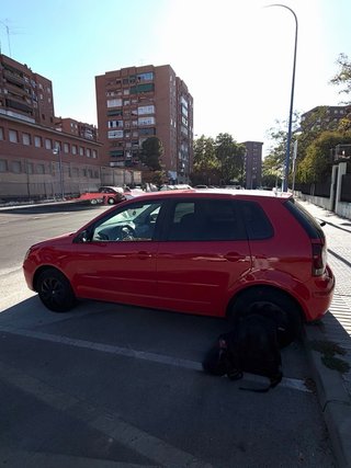 Volkswagen Polo 2005