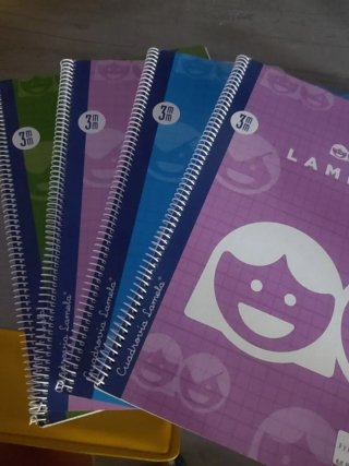 4 Cuadernos Lamela Espiral