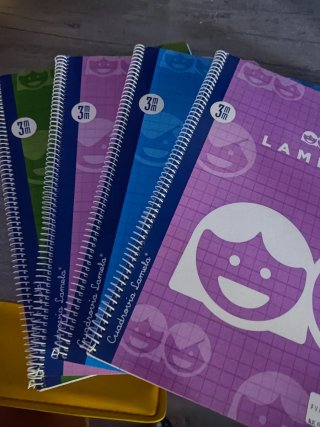 4 Cuadernos Lamela Espiral