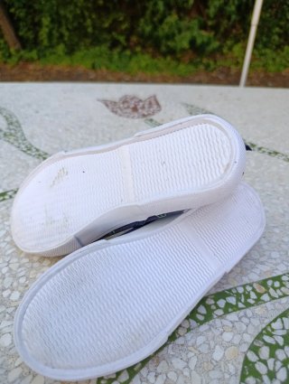 Zapatillas lona dinosaurios talla 31
