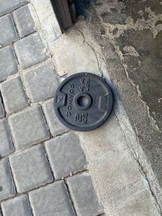 Disco de peso Domyos 2 kg