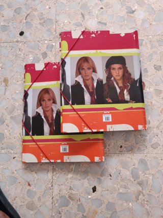 2 Carpeta Rebelde una 8€