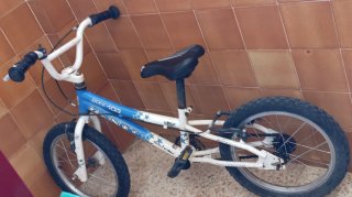 Bicicleta infantil