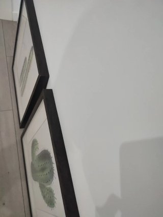 Láminas de cactus con marco