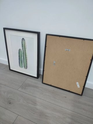 Láminas de cactus con marco