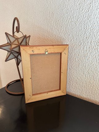 Pareja cuadros botánicos helechos vintage madera